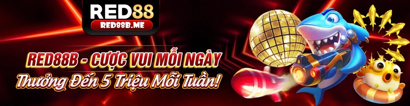 Hình ảnh cam kết của WinVND về giải trí bền vững